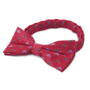 Man Op Maat Logo Uniform Mode Polyester Bowtie Zelfstrik Stropdassen