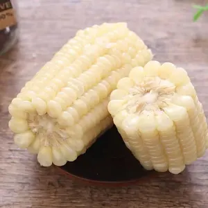 Suministro de fábrica Venta caliente al por mayor Palitos de maíz amarillo dulce congelado Maíz ceroso fresco no Gmo