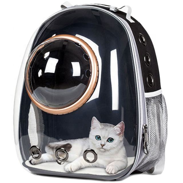 cat backpack price