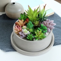 Pot de plantes succulentes en béton avec soucoupe, vente en gros, pièces, pour décoration de jardin, maison