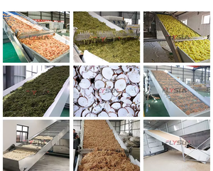 Ligne de production de tranches de gingembre en acier inoxydable de qualité alimentaire avec unité de séchage et d'emballage à bande transporteuse à basse température - Product Image 3