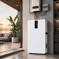 Batterie solaire LiFePO4 16 kWh pour extérieur, IP65, 51,2 V 314 Ah, hybride, communication CAN, qualité A, stockage résidentiel