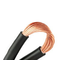 Professionelles Industrielles 25mm² 35mm² 50mm² 70mm² 95mm² Kupfer Geschweißtes Flexibles PVC-Kabel 450/750V für Installationen