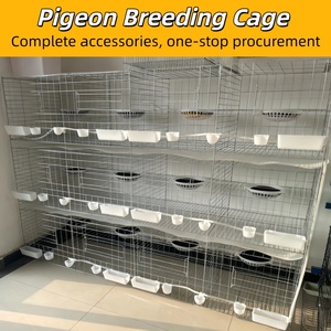 Système de cages à cailles galvanisées à plusieurs niveaux, cage d'élevage automatique pour pigeons, cages de couvaison pour volailles - Product Image 3