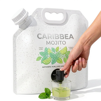 Pochette d'emballage personnalisée pour cocktails RTD, sac à bec verseur de qualité alimentaire pour vin, spiritueux, liqueur, boisson 1L 2L