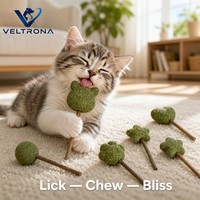 Bâtonnets de friandises à la catnip, 6 formes assorties, jouets à mâcher aux herbes, herbe verte compressée, bâtonnets en bois naturel