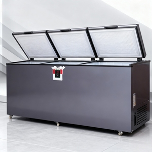 Congelador Horizontal, Equipo de Refrigeración, Congelador Tipo Arcón, Refrigerador, <span class=keywords><strong>Congeladores</strong></span> Profundos Económicos para el Hogar en Venta - Product Image 2