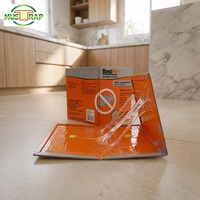 Piège à souris parfumé au beurre de cacahuète 100 % efficace avec appât intégré et plaque de colle pour rats pour une lutte antiparasitaire intégrée