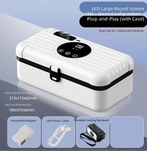 Mini-réfrigérateur portable rechargeable à semi-conducteurs, boîte à insuline double usage chaud/froid pour automobile et usage domestique - Product Image 4