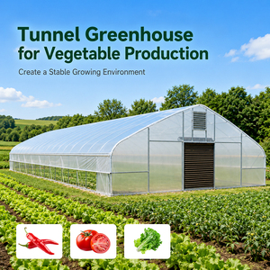 Serre tunnel agricole complète avec ventilation pour jardin potager arrière-cour – Kit complet de serre en polyéthylène - Product Image 1
