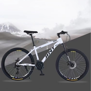 Véhicule routier à pignon fixe <span class=keywords><strong>de</strong></span> luxe 2025 équipé <span class=keywords><strong>de</strong></span> freins à disque argentés à 21 vitesses - Product Image 3