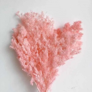 Hojas de Helecho Ming Secas Naturales, Reales y Conservadas, Ecológicas, Hechas a Mano, para Ramos de Boda, Decoración de Jarrones para el Hogar, Manualidades Florales, 50 Piezas - Product Image 3