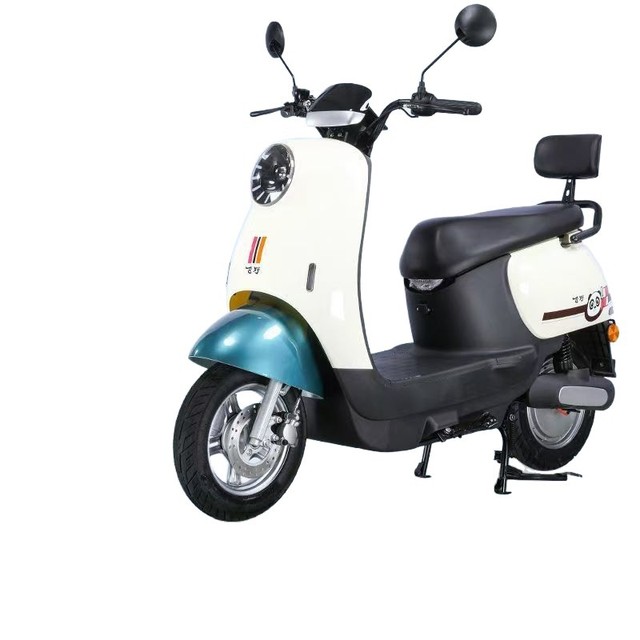 Electric City Bike 48V 960W 7-Speed Foldable High Carbon Steel Frame Rear Hub Motor Lead Acid Battery 60 km Range 25h Max Speed