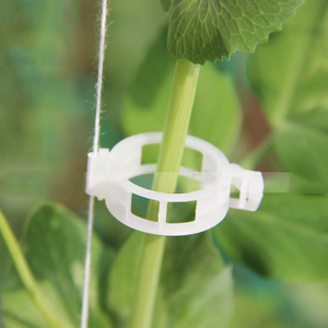 Clips para Plantas Verdes al por Mayor, Clips de Jardín para Uso Doméstico, Cultivo Vertical y Más Saludable para Tomates y Otras Plantas Trepadoras - Product Image 6