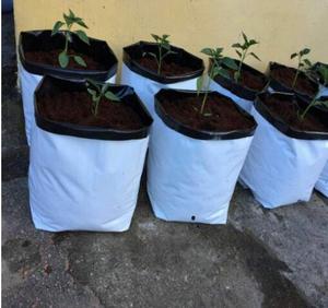 Bolsas de Plástico <span class=keywords><strong>Blancas</strong></span> y Negras para Cultivo de Plantas, Tomates, Verduras, Plántulas y Enraizamiento - Product Image 4