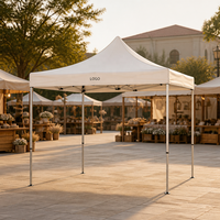 Tente Pop-Up Publicitaire Personnalisable avec Logo 3x3m (10x10ft) – Structure en Acier, Toile Oxford 420D Imperméable – Idéale pour Marchés, Stands d'Exposition et Utilisation Extérieure