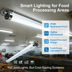 スマートIP69Kトリプルプルーフ照明ソリューション、防水・防食の食品工場向けLEDライト、リモコン付き - Product Image 1