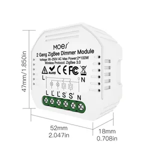 2ギャング調光器Zigbeeスイッチwifituyaスマートホーム調光器スイッチオン/オフアプリリモコンタイミング音声制御モジュール