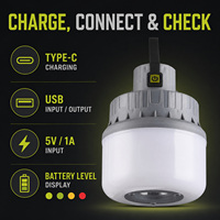 Lampe de travail LED rechargeable USB-C D42-2, options de couleurs bleu clair, vert foncé, noir, gris, version réflecteur, 1800 mAh, 5 W, pour le camping
