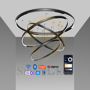 Vòng Từ Theo Dõi Ánh Sáng Căng Trần Cong Nhôm Hồ Sơ Theo Dõi Đường Sắt Hồ Sơ Trần Gắn Nam Châm Theo Dõi Hệ Thống Ánh Sáng - Product Image 6