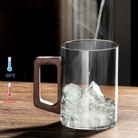 Tasse à eau en verre borosilicate résistant aux hautes températures avec poignée en bois massif, tasse à café, tasse à eau de bureau, tasse à thé en verre gris fumé durable