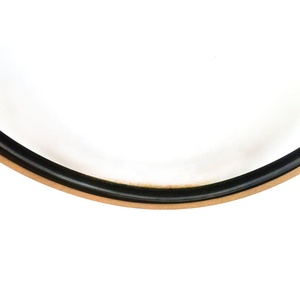 Spgo 가격의 유압 청동 충전 Ptfe 피스톤 씰 제어 밸브 씰 키트