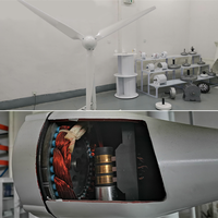 Offres Spéciales : Éolienne verticale 1000W 12V/24V, diamètre du rotor 1,1m