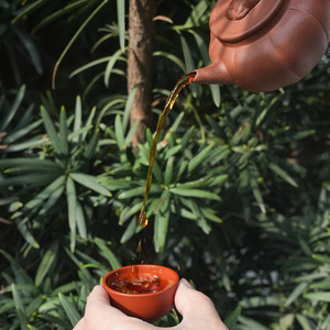 Boules de thé fleuri parfumées au <span class=keywords><strong>jasmin</strong></span>, nouées à la main, exquises, pour des présentations florales magnifiques, idéales pour les cadeaux et occasions spéciales, 24 mois - Product Image 4