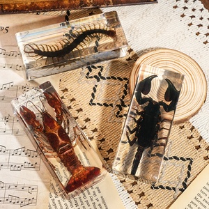 Vivid côn trùng chặn giấy thực Bug bảo quản trong <span class=keywords><strong>lucite</strong></span> acrylic cho tư nhân mẫu vật Bộ sưu tập Bảng trang trí Nhựa thủ công mỹ nghệ - Product Image 4