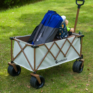 Vente directe du fabricant : Chariot de <span class=keywords><strong>camping</strong></span> pliable et extensible pour extérieur, chariot de <span class=keywords><strong>camping</strong></span>, chariot de marché nocturne - Product Image 2