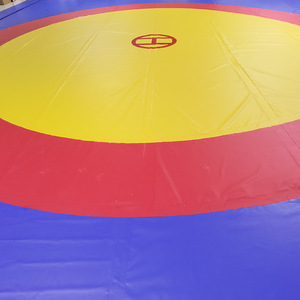 Tapis de gymnastique en PVC à couverture unique pour combattre la lutte Taekwondo Judo Différents styles en stock Équipement d'arts martiaux pour les gymnases - Product Image 4