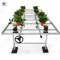 Table de propagation certifiée ISO CE Chenchao avec lit de semis en treillis soudé et table de culture modulaire roulante pour herbes médicinales