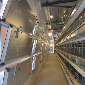 Cage de poulailler pour poussins d'un jour et poulettes en poulailler, pour ferme avicole, à <span class=keywords><strong>vendre</strong></span> - Product Image 4