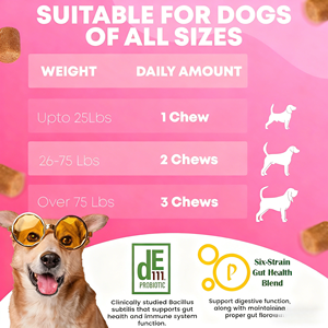 OEM ODM Private Pets <b>Probiotics</b> <b>for</b> <b>Dogs</b> with Prebiotics Promotes a Balanced Gut Microbiome - Boosts Immune Health Soft Chews - Product Image 4