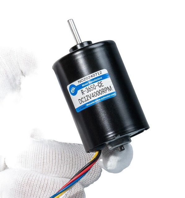 R-3650 DC 12V 24V 8000rpm 36MM 9.6W 12.6W 35W 4000RPM BLDC Micro Brushless Diameter High Torque High Speed Electric Motor