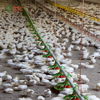 Équipement d'élevage avicole entièrement automatique pour poulets de basse-cour, poulailler en plastique pour poulets de chair avec mangeoire et abreuvoir