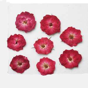 Fiori Pressati di <span class=keywords><strong>Rose</strong></span> per Resina Epossidica, Decorazione con Fiori Essiccati, Nuova Moda per Capodanno, Fiori e Ghirlande, Piante Vere, Alla Moda, 7-15 Giorni - Product Image 1