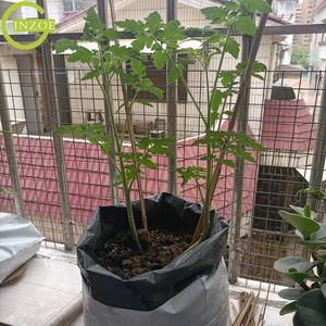 Sacchetti di semi di piselli <span class=keywords><strong>professionali</strong></span> per la semina del cacao - Product Image 5