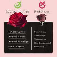 Nouvelles idées de produits 2024 décoration de maison en gros pour toujours Roses éternelles longues éternelles séchées conservées Arrangement de fleurs