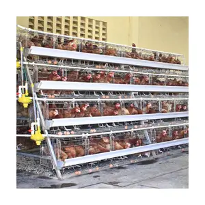 Gabbie a 4 strati 128 gabbia per polli allevamenti di pollame gabbie a strati attrezzature per pollame fattoria