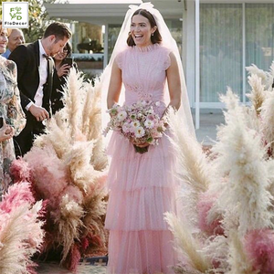 Photo <strong>Background</strong> <strong>Instagram</strong> Dried Preserved Pampas Grass Flowers - Product Image 6