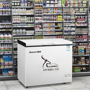 XUECUN/SNOW VILLAGE BD-358直接冷却ディープフリーザーチェストフリーザー冷蔵庫家庭用ホテルショップ用冷蔵庫 - Product Image 4