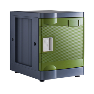 Casier en plastique ABS de qualité supérieure, écologique, robuste, classique, à motif diagonale, avec serrure à clé, pour l'école, la salle de sport, la piscine - Product Image 1