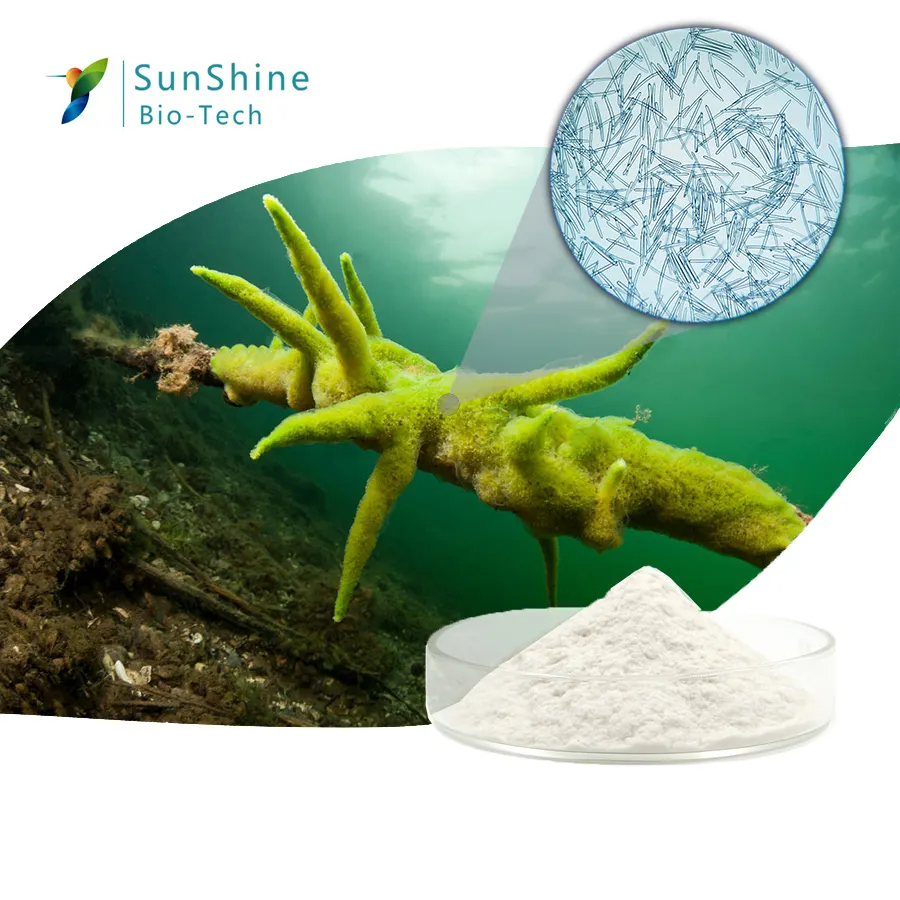 SQT छील Resurfacing Exfoliant पाउडर Spongilla Spicules पाउडर पानी और तेल संतुलन जोड़ने त्वचा के लिए उत्पाद