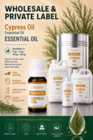 100% Minyak Esensial Cypress Turki Murni Cupressus Sempervirens Distilasi Uap Bahan Alami Semua Jenis Kulit Grosir
