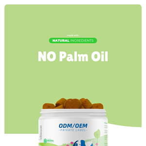 Suplementos Masticables Naturales <span class=keywords><strong>para</strong></span> <span class=keywords><strong>Perros</strong></span> OEM/ODM - Curcumina, Colina, Apoyo <span class=keywords><strong>para</strong></span> el Hígado y Riñones, Salud de la Colina, Cuidado de la Salud de las Mascotas - Product Image 4