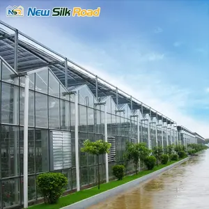 Serre en verre agricole multi-travée hydroponique clé en main facilement assemblée-à vendre