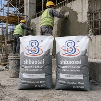 Mortier Spécial à Base de Ciment Modifié aux Polymères pour la Réparation des Déchirures de Surface du Béton et la Restauration Structurelle