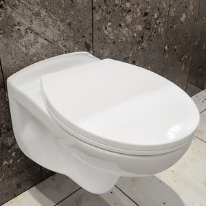 Inodoro de pared al por mayor de Polonia con tanque oculto, artículos sanitarios, baño, WC, WC suspendido - Product Image 4