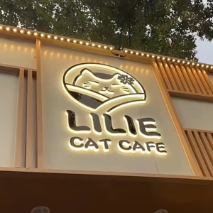 لافتة معدنية مخصصة ثلاثية الأبعاد مضادة للماء من الفولاذ المقاوم للصدأ بتصميم مرآة ذهبية مضاءة من الخلف لاسم العلامة التجارية للمتجر - Product Image 3